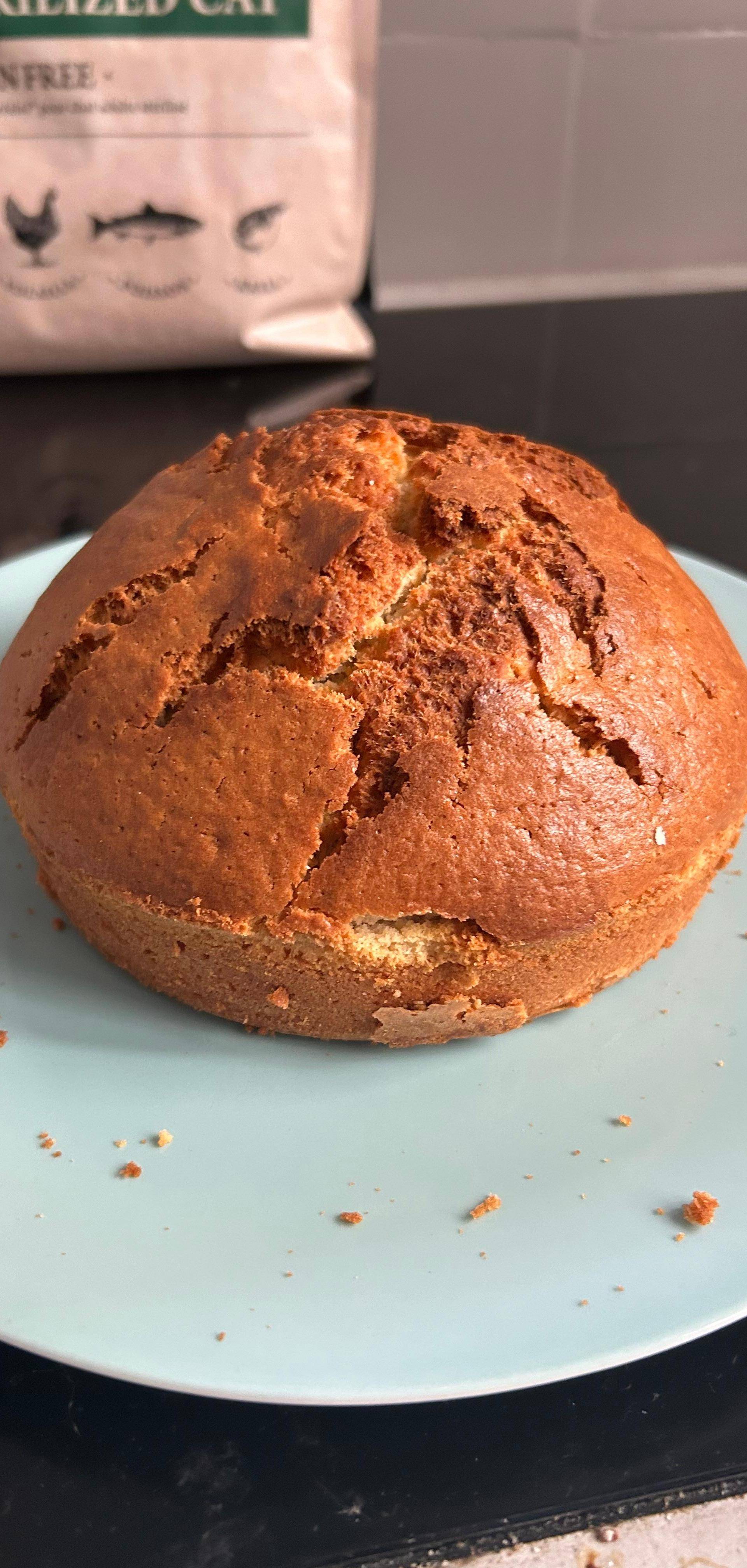 Yoghurt met havervlokken - Recette Cookeo 9in1 | Moulinex
