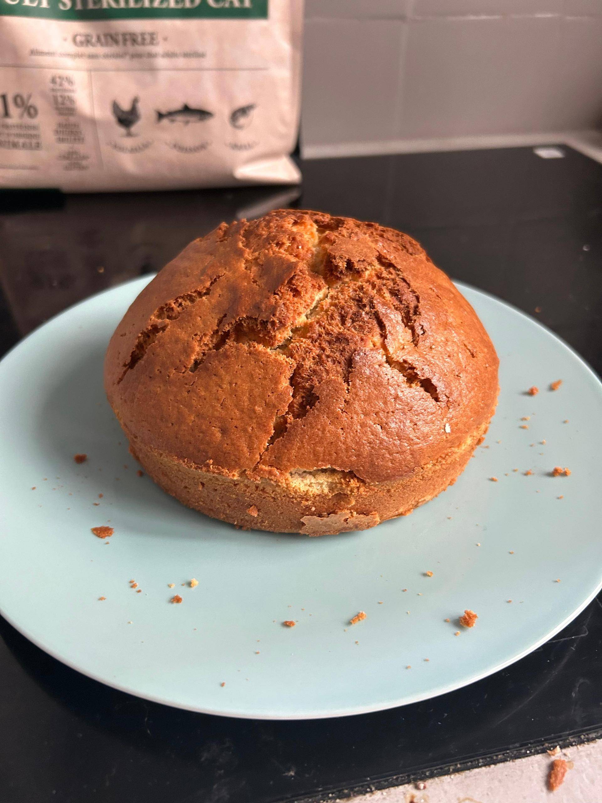 Gâteau gourmand de Léon - Recette Cookeo V3 | Moulinex