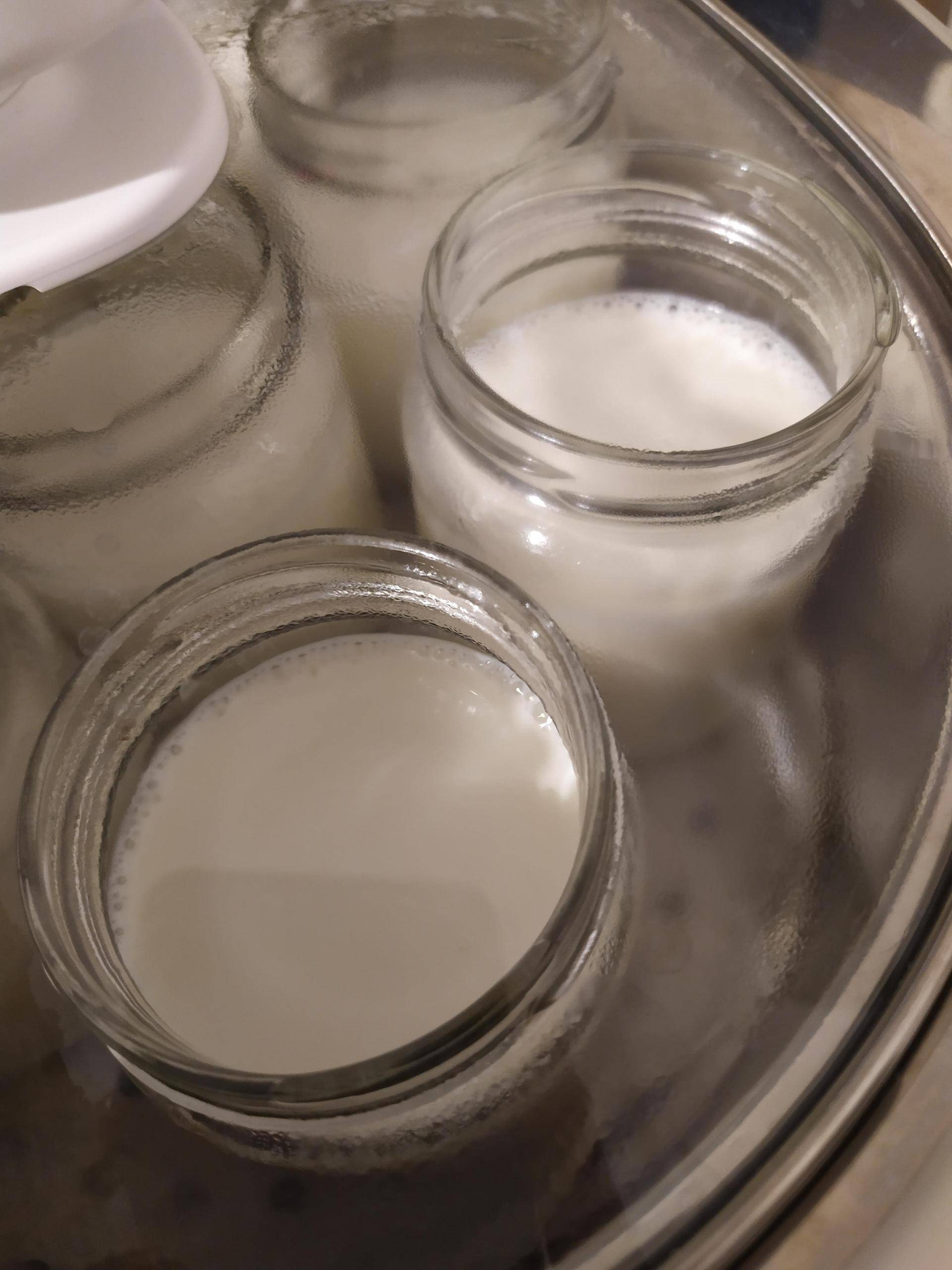 Yaourt nature avec panier externe - Recette Companion XL | Moulinex