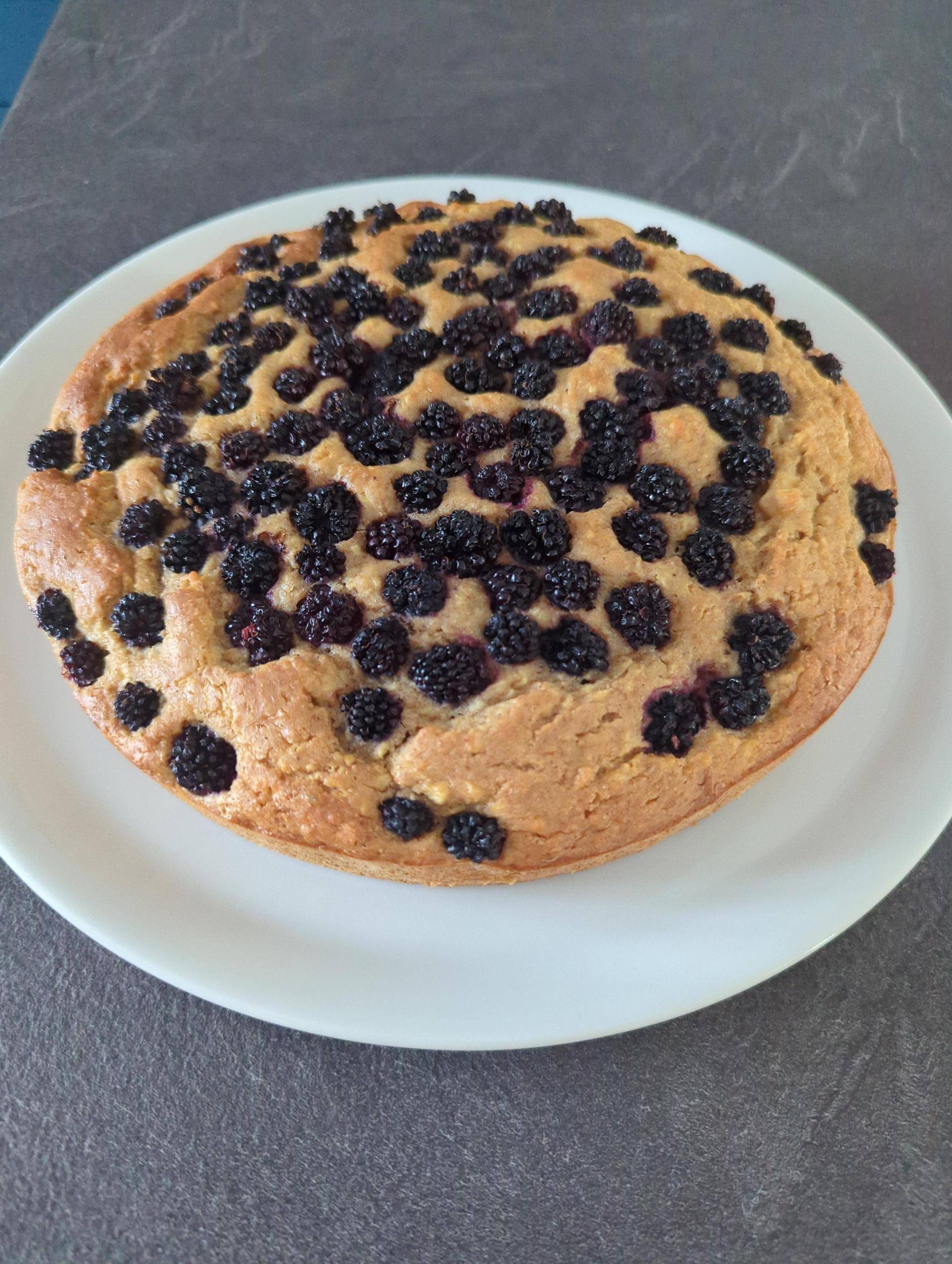Gâteau pommes et mûres à la farine de blé semi-complète - Recette Companion Connect XL | Moulinex