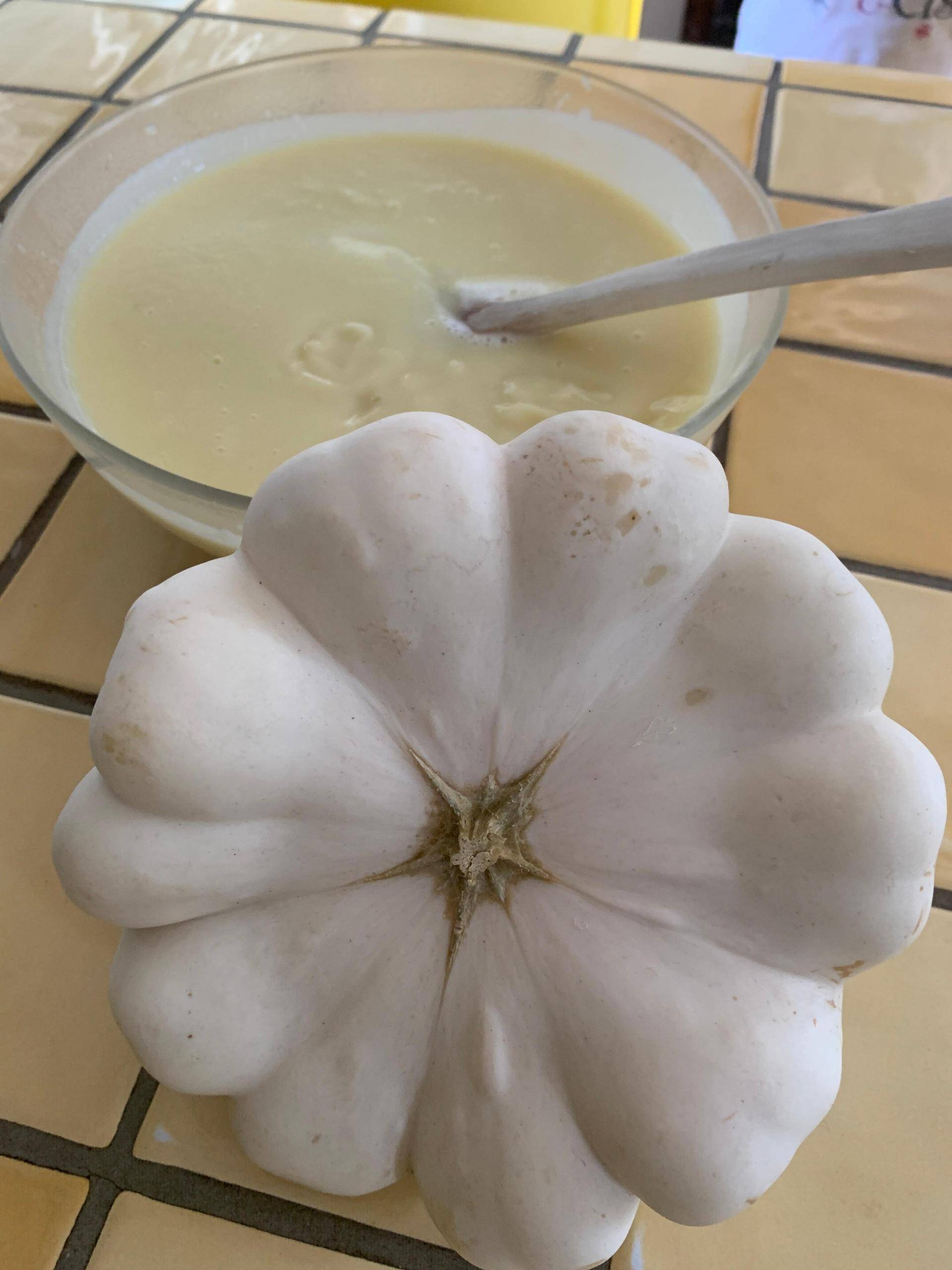 Velouté de Patisson - Recette Companion XL | Moulinex