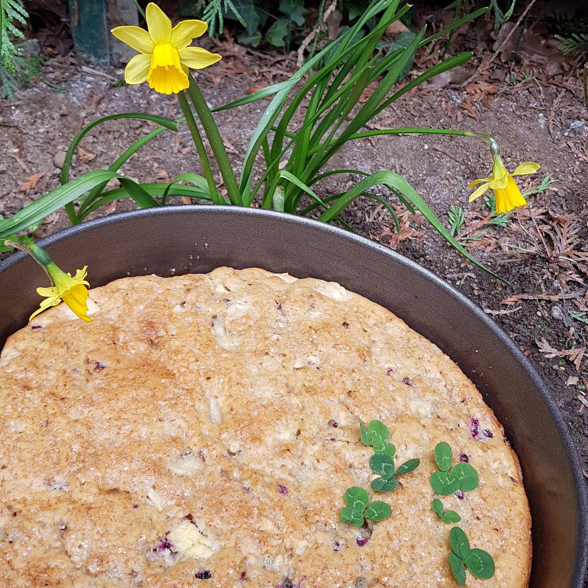 Irish Cake pomme-mûres - Recette Companion Connect XL | Moulinex