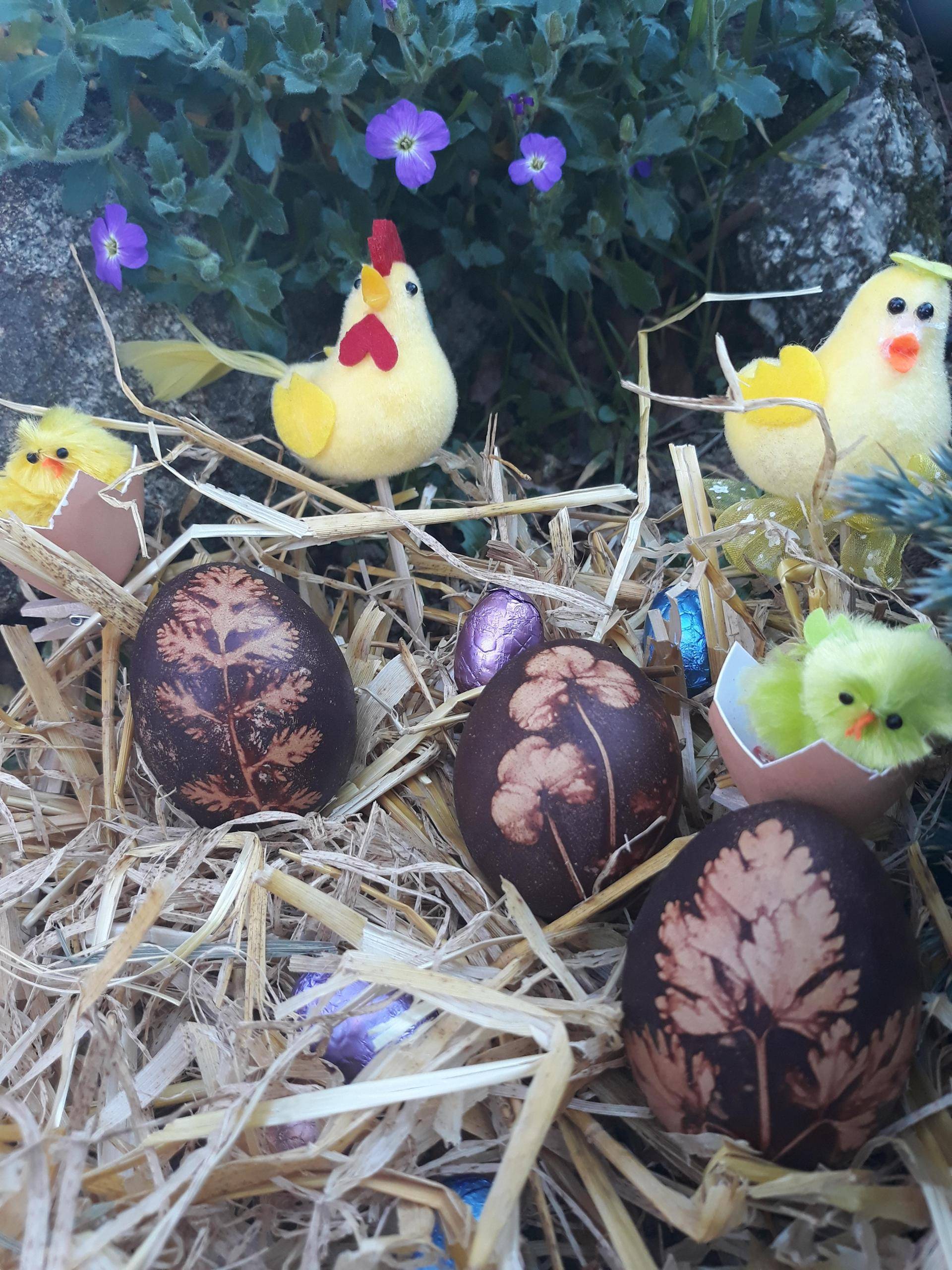 Œufs rouge de Pâques - Recette Cookeo V3 | Moulinex