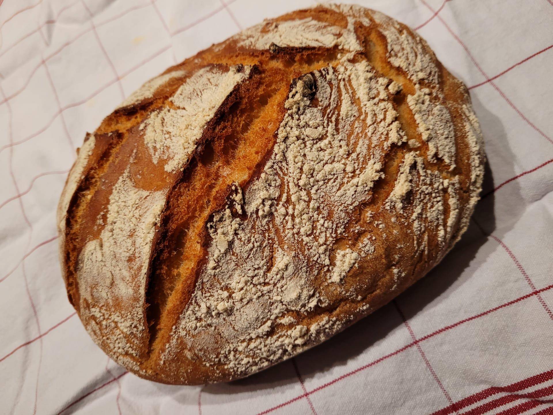 Pain cocotte au companion - Recette Companion XL | Moulinex