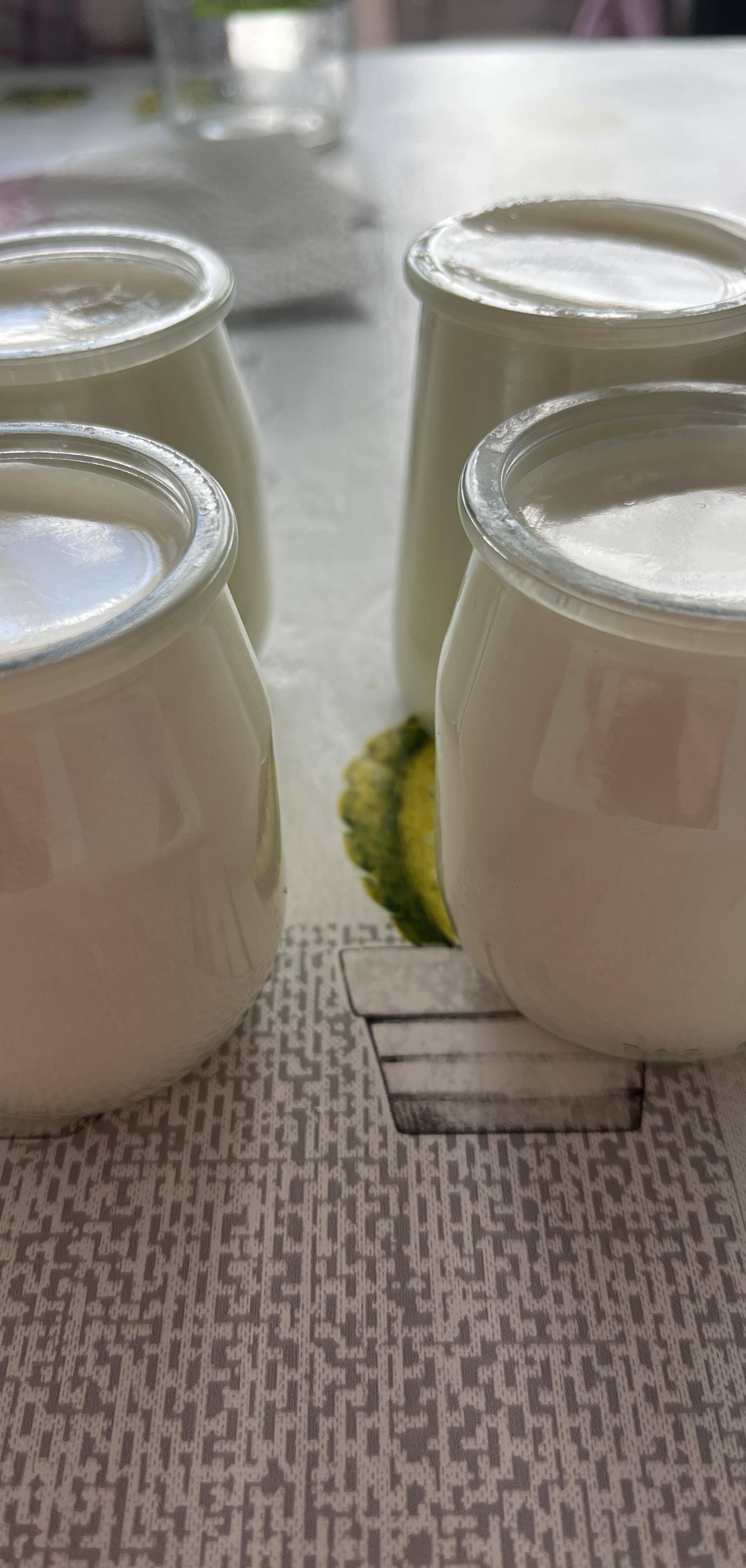 Base yaourt nature sans fermant lactique - Recette Cookeo | Moulinex