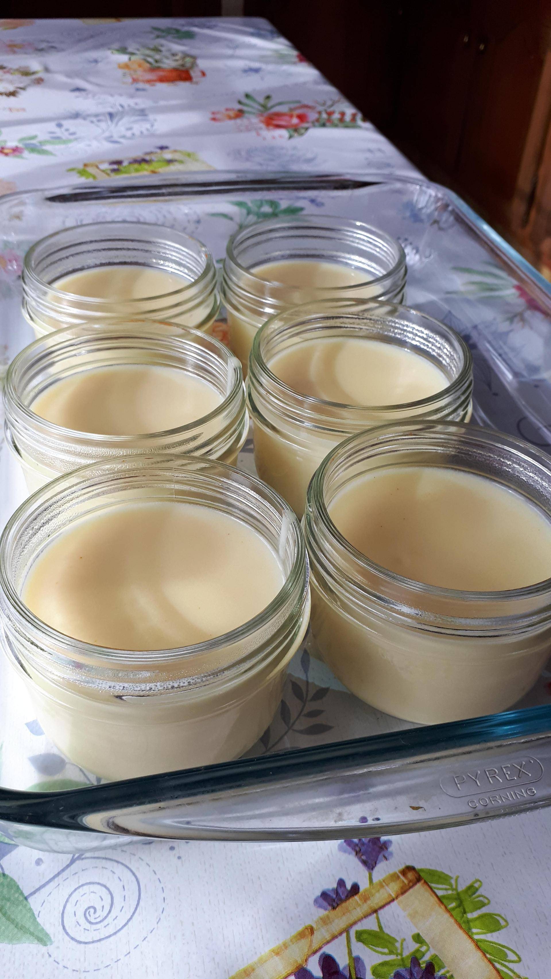Crème dessert citron sans oeuf - Recette Companion | Moulinex