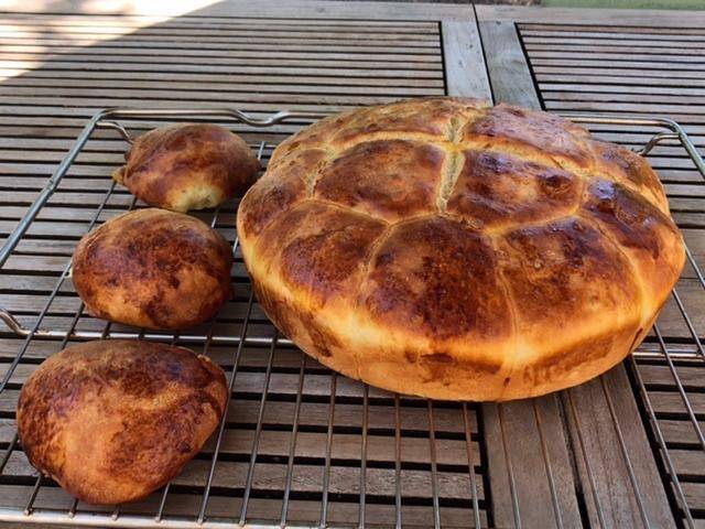 Brioche Buchty à la levure fraîche - Recette Companion Connect XL | Moulinex