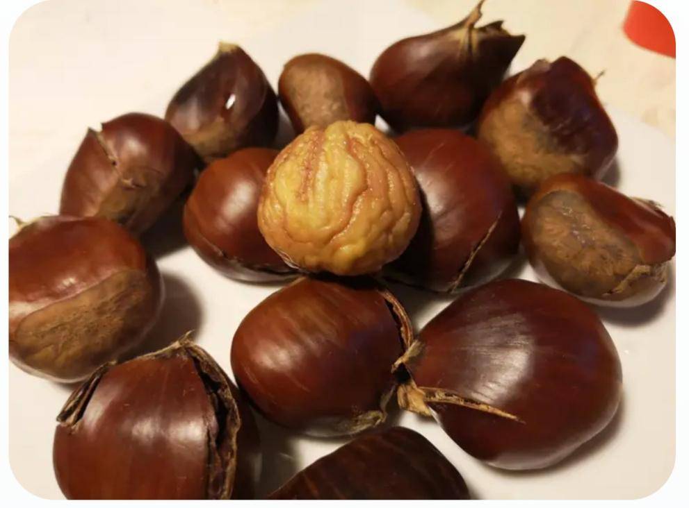 Chataîgnes - Recette Companion XL | Moulinex