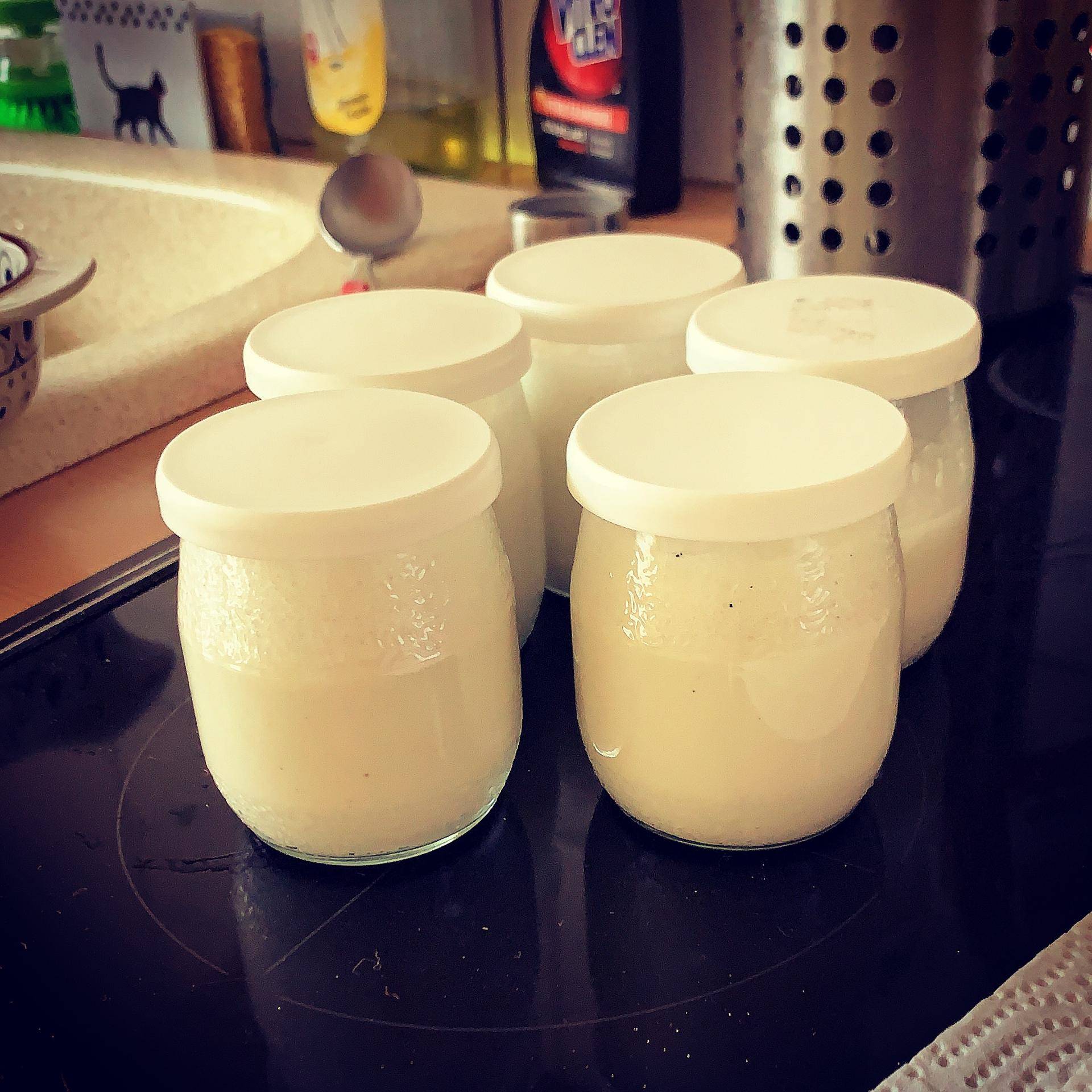 Blanc manger coco - Recette Companion XL | Moulinex