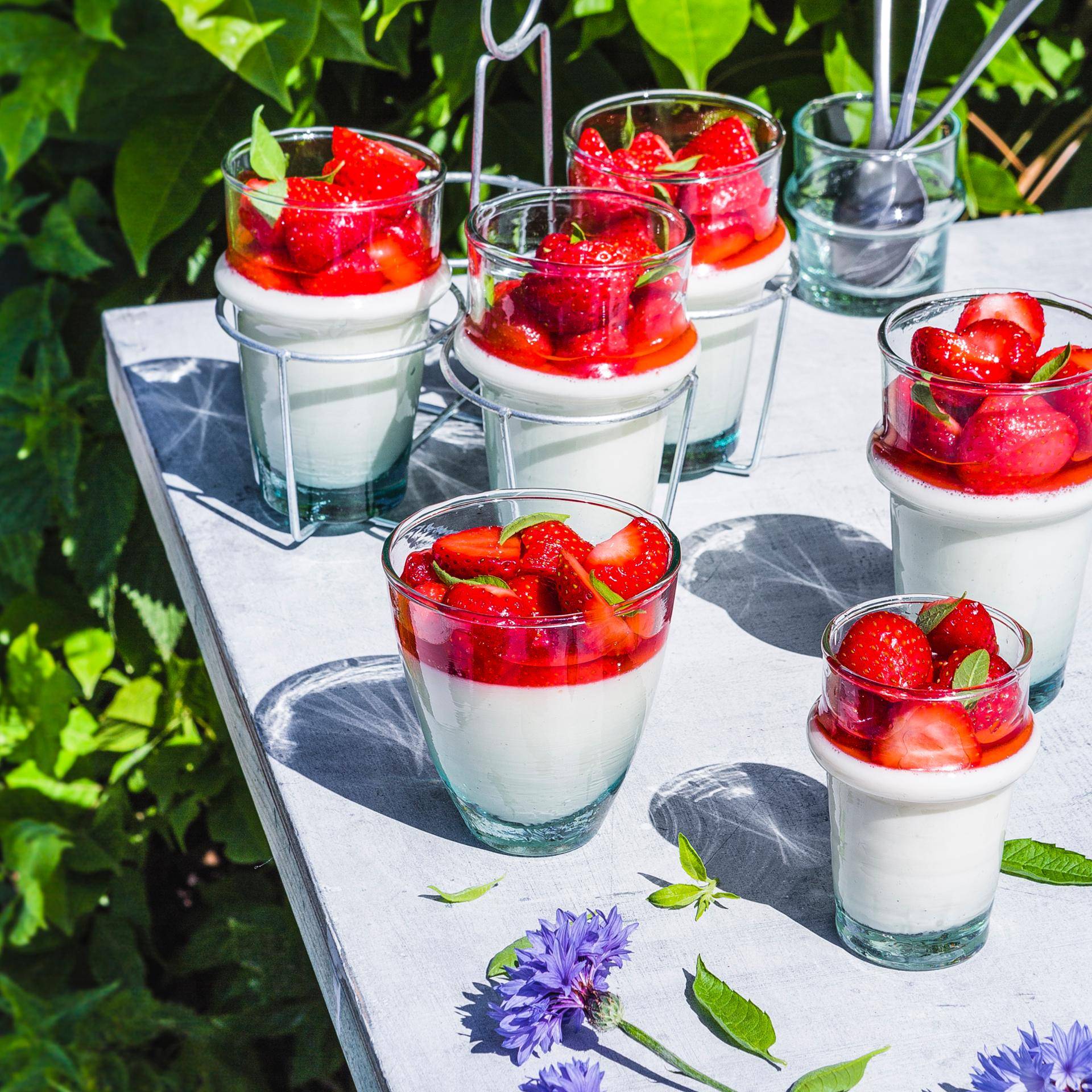 Panna cotta fraise et verveine - Recette Companion Connect | Moulinex