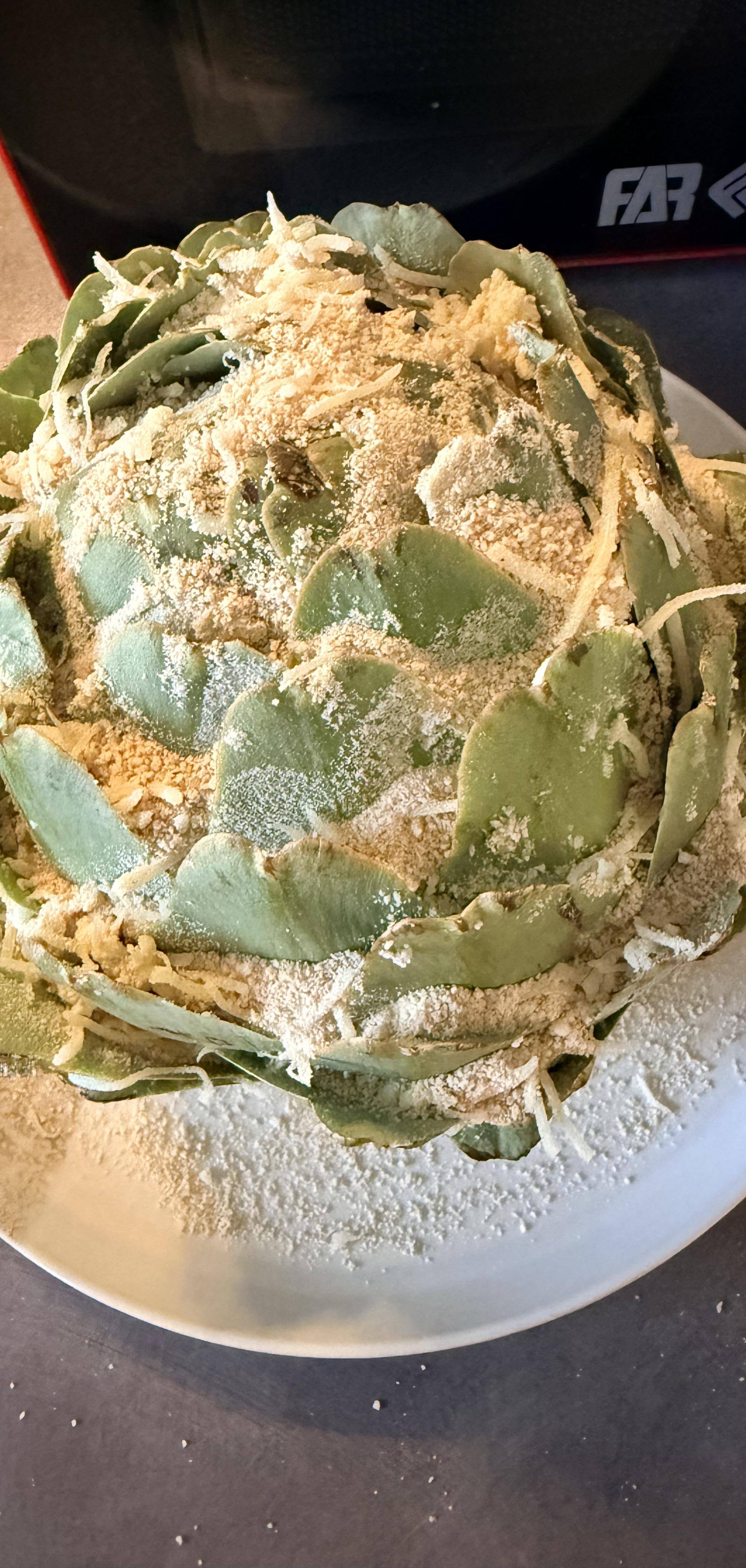 Artichauts de la nona - Recette Cookeo Infinity Autostir | Moulinex