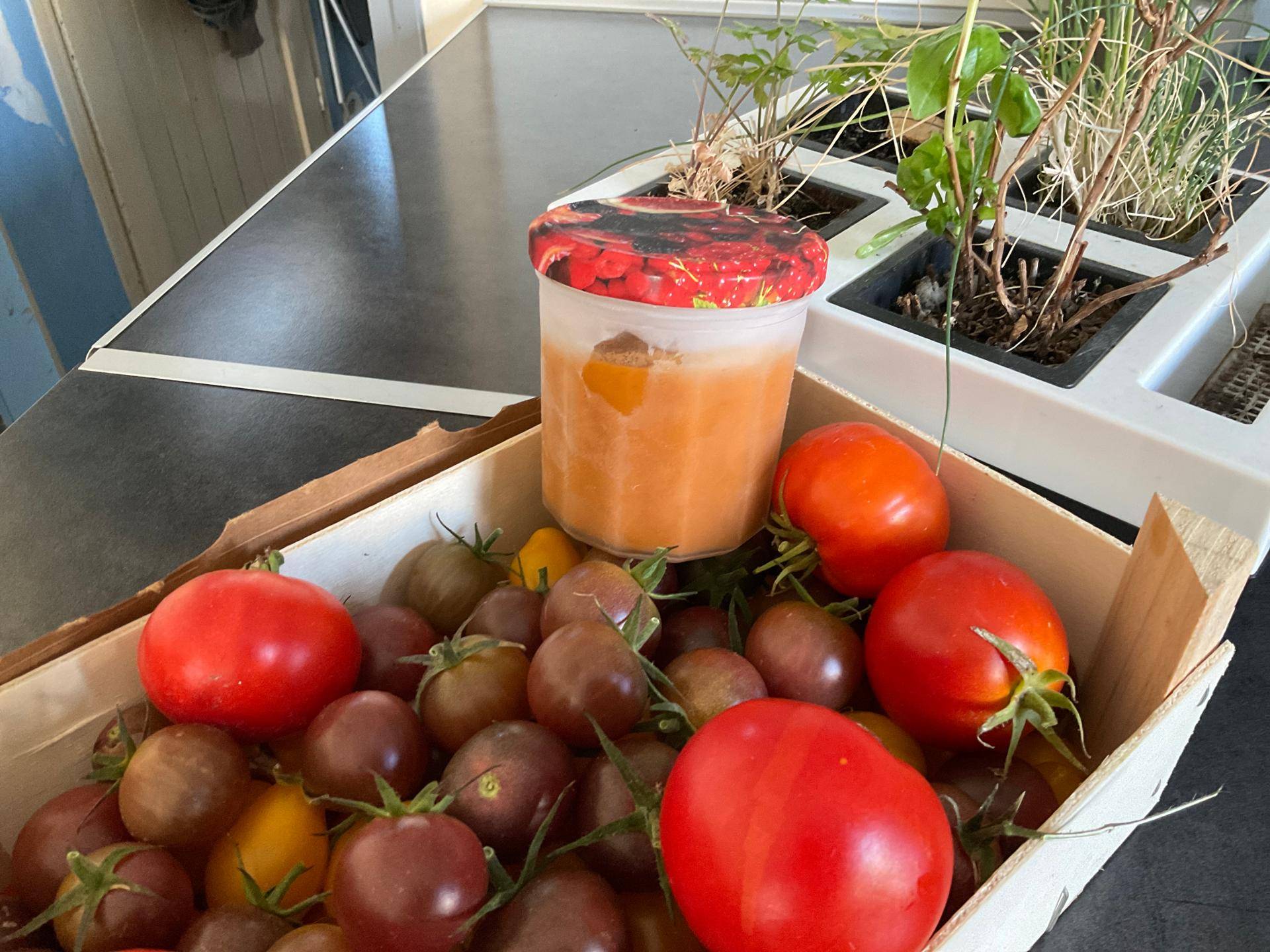 Coulis de tomates - Recette Companion Connect XL | Moulinex