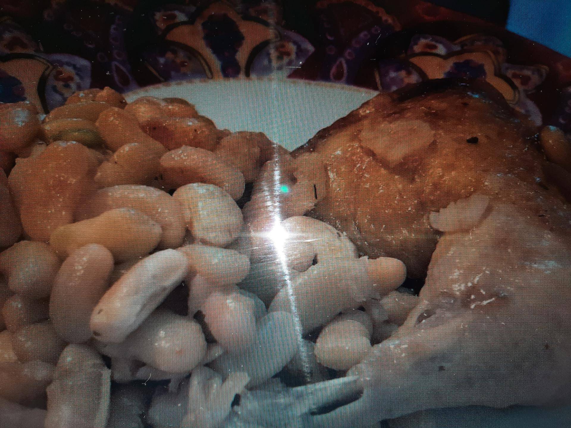 Cuisse de poulet et ses haricots blans - Recette Cookeo | Moulinex