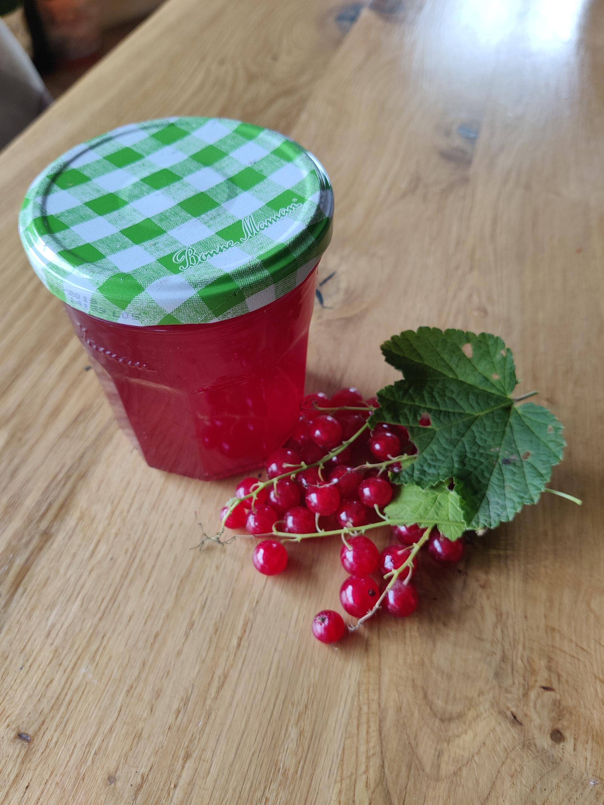 Gelée de groseilles - Recette Companion Connect XL | Moulinex
