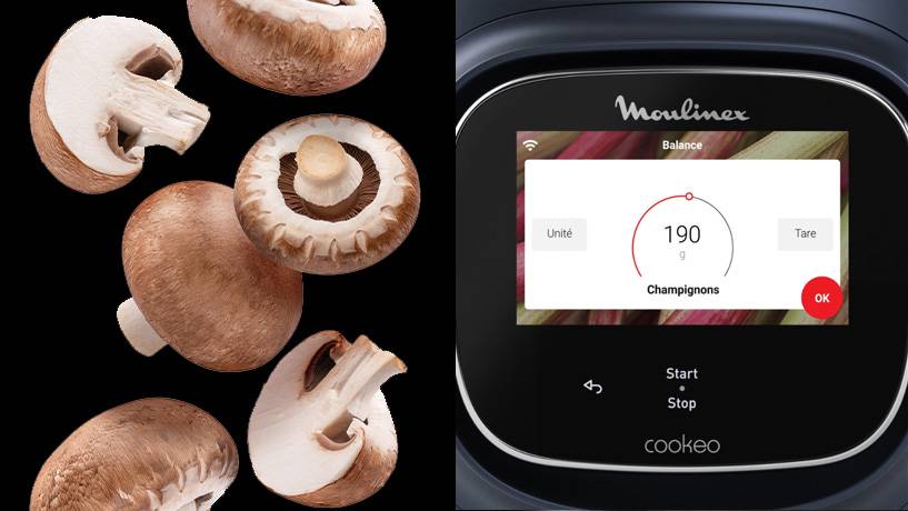 mou-fr-140-CookeoTouch_DP_Lame2A.jpeg